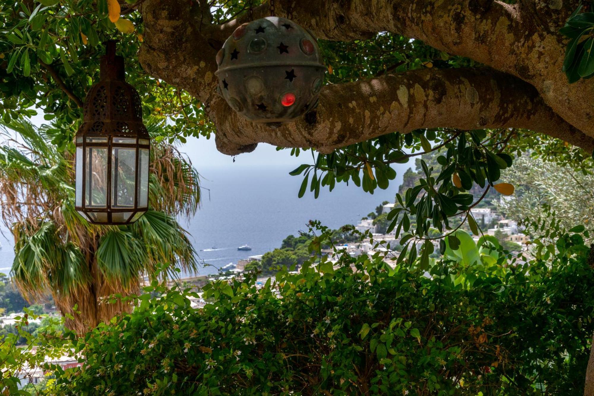 Beautiful With View In The Heart Of